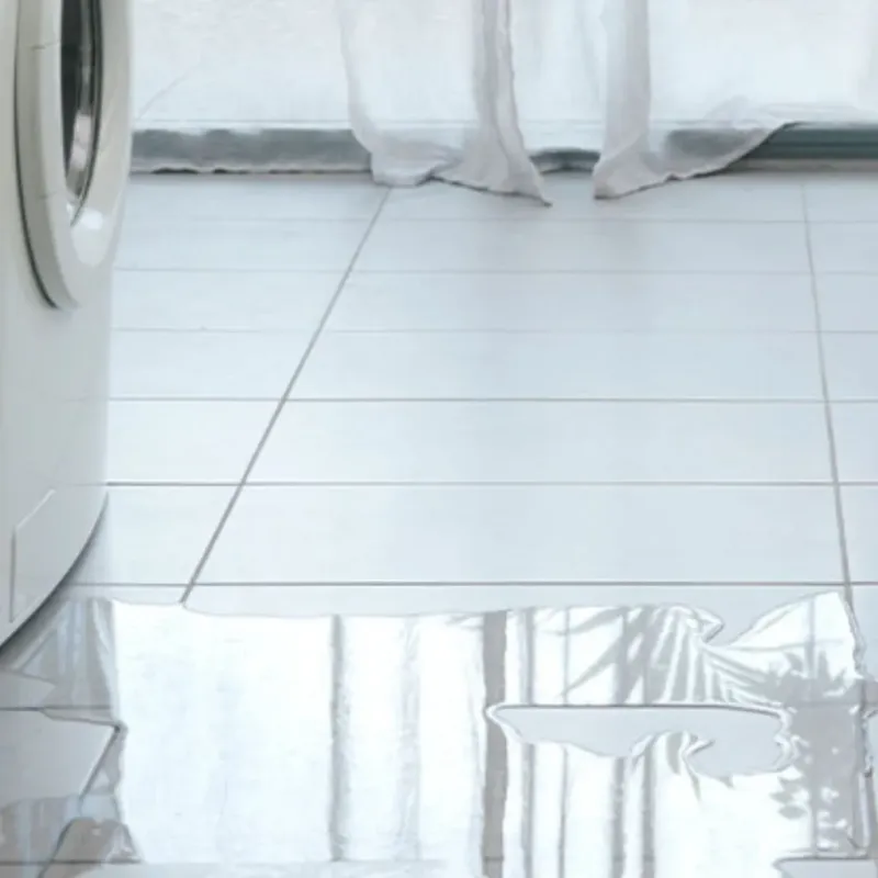 Appliance Leak Cleanup in Winter Beach, FL
