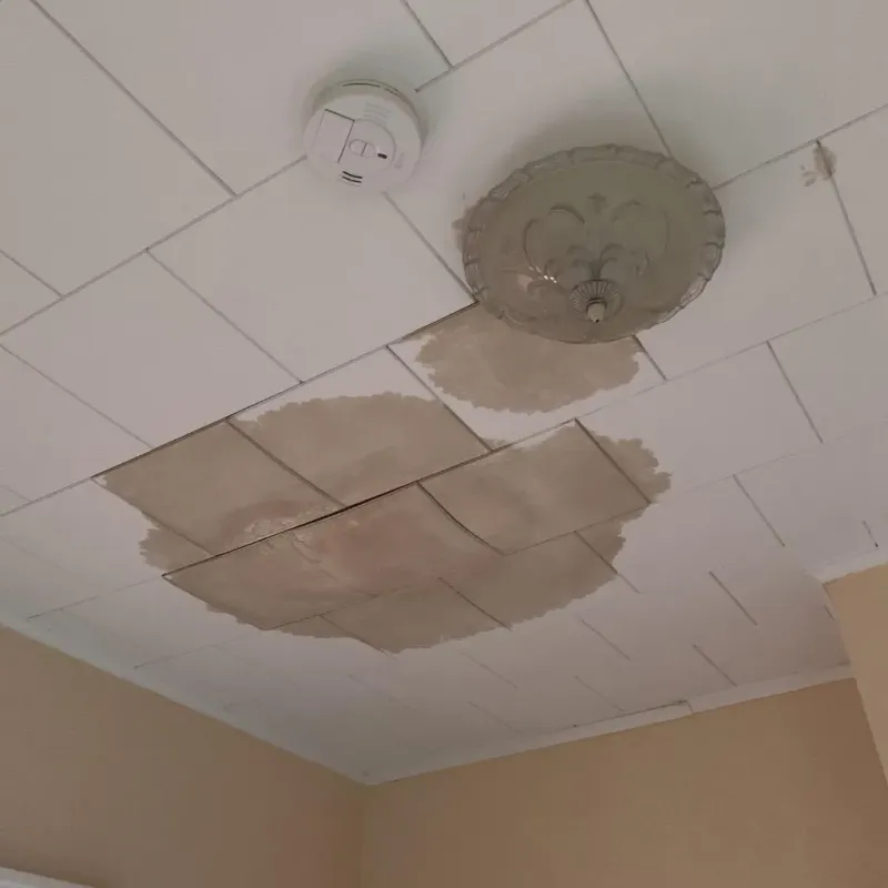 Ceiling Water Damage Repair in Winter Beach, FL