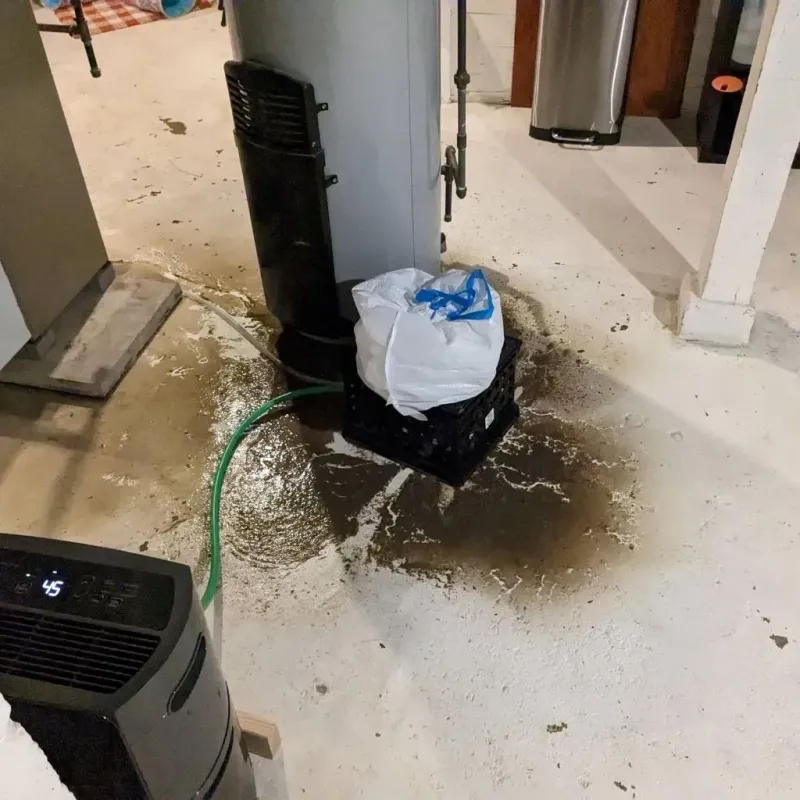 Sewage Backup Cleanup Service in Winter Beach, FL